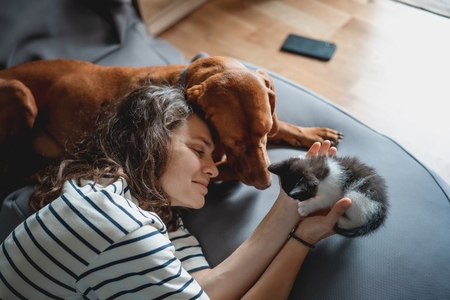 middle-aged woman laying on sofa snuggling her pet lab and kitten
