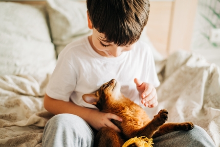 younger boy sitting in bed petting his pet cat and smiling