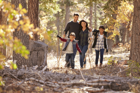 family of four walking through the woods