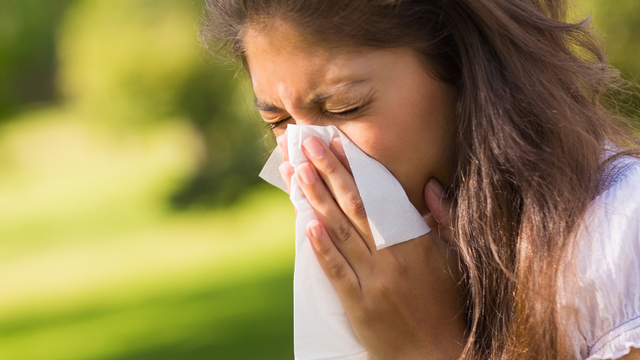 Top Tips to Fight Seasonal Allergies