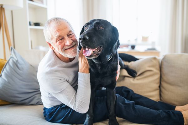 smiling senior man with dog in living room