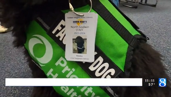 Closeup of priority pups dog Meeka with Godwin Heights school ID badge